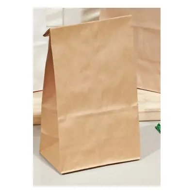 Bags Paper Lunch LG 50ct